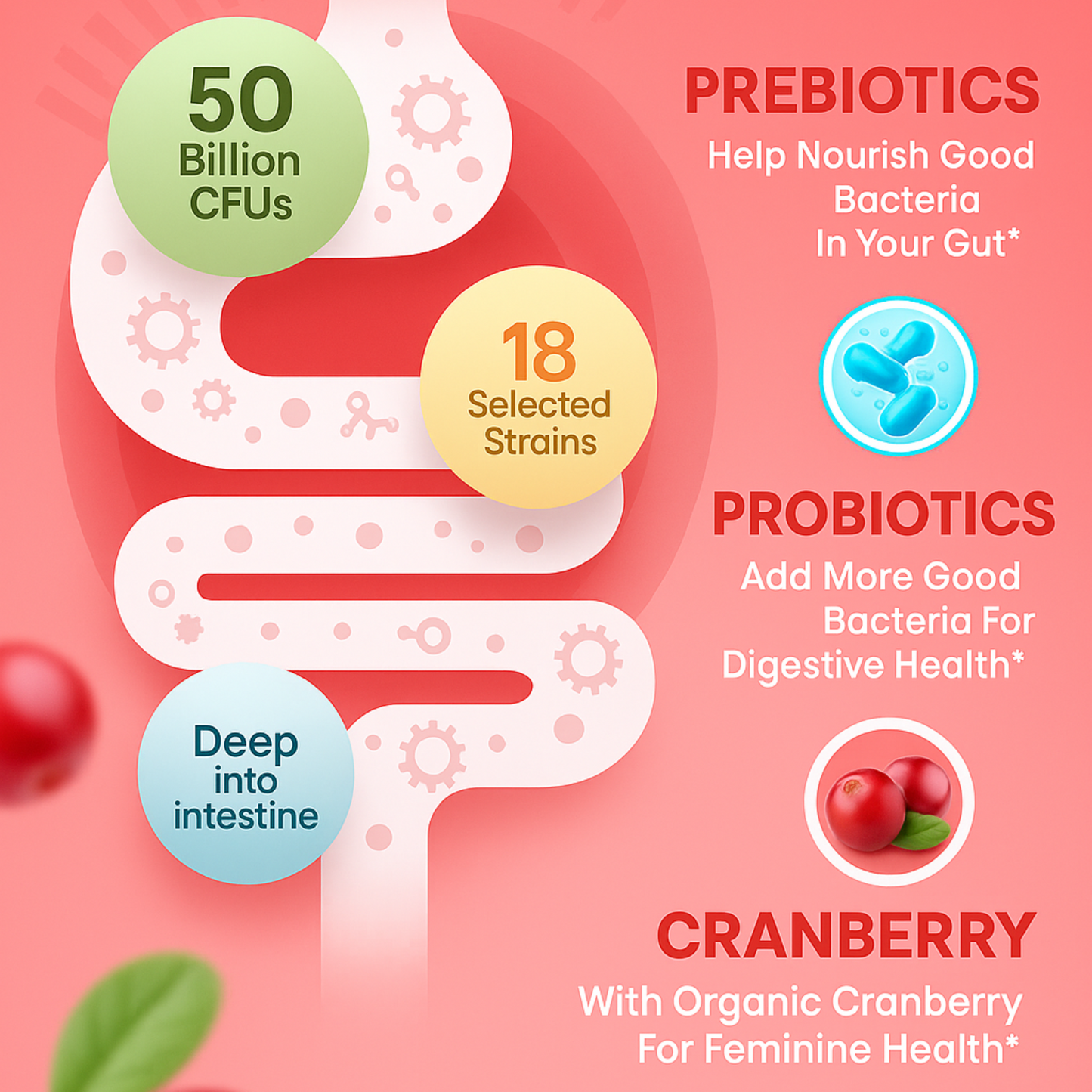 Cranberry Probiotic Gummies
